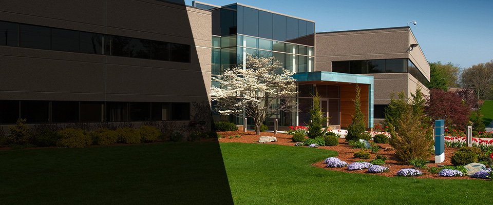Rolesville Landscapers