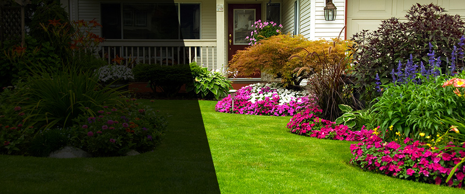 Rolesville Landscapers