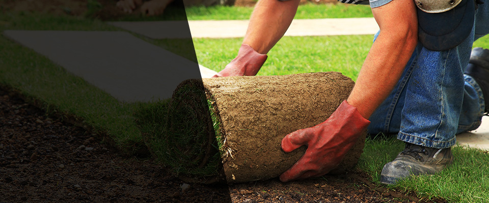 Rolesville Landscapers